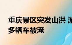 重庆景区突发山洪 游客水中抱树避险，附近多辆车被淹