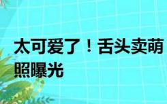 太可爱了！舌头卖萌，在韩大熊猫双胞胎满月照曝光