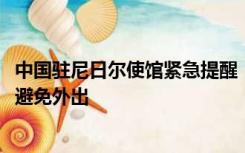 中国驻尼日尔使馆紧急提醒：在尼侨胞提高警惕、加强防护、避免外出