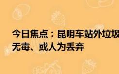 今日焦点：昆明车站外垃圾箱上多条绿蛇爬行：系绿瘦蛇、无毒、或人为丢弃