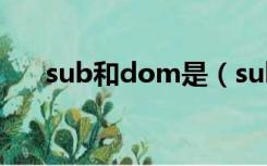 sub和dom是（sub与dom什么意思）