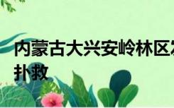 内蒙古大兴安岭林区发生森林火灾，正在紧张扑救