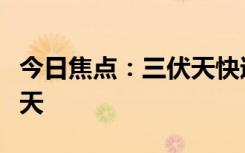 今日焦点：三伏天快过去了！今天是末伏第一天