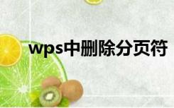 wps中删除分页符（WPS删除分页符）