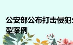 公安部公布打击侵犯公民个人信息违法犯罪典型案例