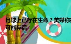 月球上已存在生命？美媒称微生物在月球南极的恶劣环境下可能存活