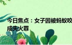 今日焦点：女子因被蚂蚁咬烧蚁窝引燃70亩森林 法庭：构成失火罪