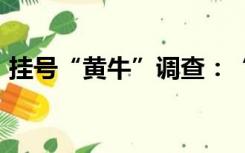 挂号“黄牛”调查：“你挂不上，我有办法”