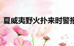 夏威夷野火扑来时警报未响 约百人跳海逃生