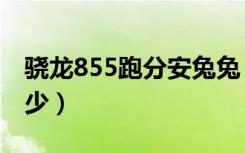 骁龙855跑分安兔兔（骁龙855跑分安兔兔多少）