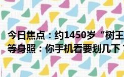 今日焦点：约1450岁“树王”！中国科考队发布亚洲最高树等身照：你手机看要划几下？