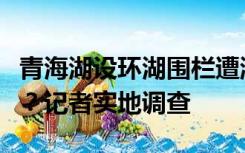 青海湖设环湖围栏遭游客质疑，真相到底如何？记者实地调查