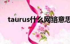 taurus什么网络意思（taurus什么意思）