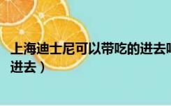 上海迪士尼可以带吃的进去吗2020（上海迪士尼可以带吃的进去）