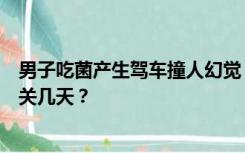 男子吃菌产生驾车撞人幻觉，“自首”后焦急询问：我要被关几天？