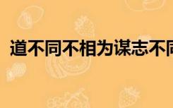 道不同不相为谋志不同不相为友类似的句子