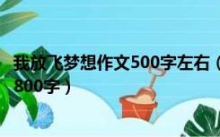 我放飞梦想作文500字左右（我爱我 放飞理想 规划人生作文800字）