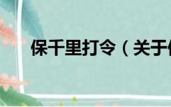 保千里打令（关于保千里打令的介绍）