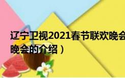 辽宁卫视2021春节联欢晚会（关于辽宁卫视2021春节联欢晚会的介绍）