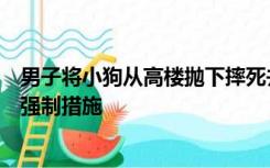 男子将小狗从高楼抛下摔死并炫耀，警方通报：已采取刑事强制措施