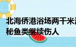 北海侨港浴场两千米海岸线已被管控，防止神秘鱼类继续伤人