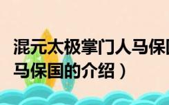 混元太极掌门人马保国（关于混元太极掌门人马保国的介绍）