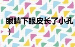 眼睛下眼皮长了小孔（眼睛下眼皮长了小米粒）