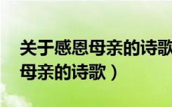 关于感恩母亲的诗歌朗诵,现代诗（关于感恩母亲的诗歌）