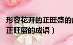 形容花开的正旺盛的成语是什么（形容花开的正旺盛的成语）