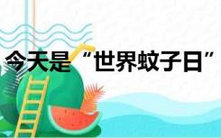 今天是“世界蚊子日”，你知道它的由来吗？