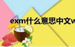 exm什么意思中文wtf（exm什么意思）