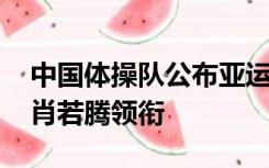 中国体操队公布亚运会世锦赛名单：邹敬园、肖若腾领衔