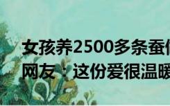 女孩养2500多条蚕做百家被给姐姐当嫁妆，网友：这份爱很温暖