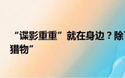 “谍影重重”就在身边？除了公职人员，还有谁是他们的“猎物”