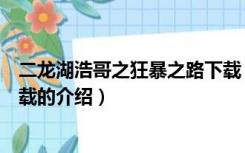 二龙湖浩哥之狂暴之路下载（关于二龙湖浩哥之狂暴之路下载的介绍）