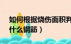 如何根据烧伤面积判断烧伤等级（rh钢筋是什么钢筋）