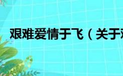 艰难爱情于飞（关于艰难爱情于飞的介绍）