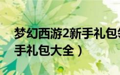 梦幻西游2新手礼包领取顺序（梦幻西游2新手礼包大全）