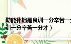 勤能补拙是良训一分辛苦一分才是什么意思（勤能补拙是良训一分辛苦一分才）