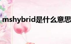 mshybrid是什么意思（hybrid是什么意思）