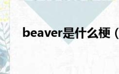 beaver是什么梗（beaver是什么梗）