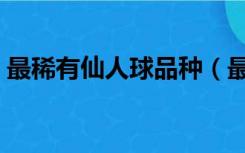 最稀有仙人球品种（最稀有仙人球品种图片）