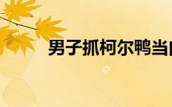 男子抓柯尔鸭当肉鸭吃赔了8千元