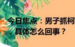 今日焦点：男子抓柯尔鸭当肉鸭吃赔了8千元，具体怎么回事？