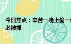 今日焦点：辛苦一晚上偷一条街全得还回去，网友：偷东西必被抓