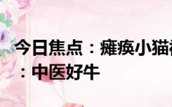 今日焦点：瘫痪小猫被中医学生1秒治好 网友：中医好牛