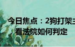 今日焦点：2狗打架主人被狗绳绊致十级伤残，看法院如何判定