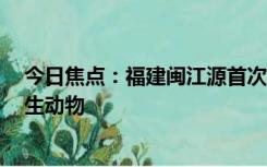 今日焦点：福建闽江源首次发现黑熊，国家II级重点保护野生动物