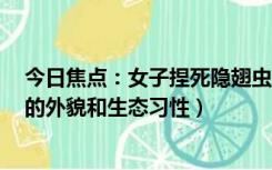 今日焦点：女子捏死隐翅虫手臂被腐蚀7天还没好（隐翅虫的外貌和生态习性）