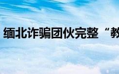 缅北诈骗团伙完整“教材”与聊天范例曝光！